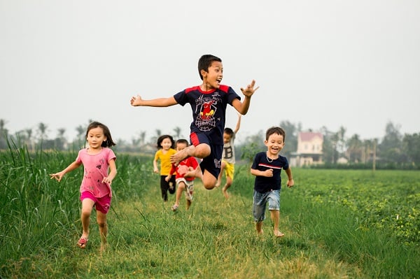 Cách Làm Sữa Chua Nếp Cẩm