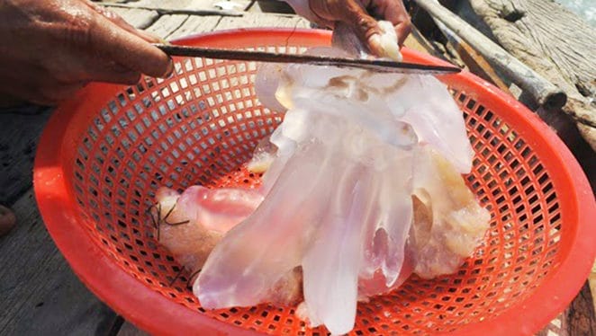 cách làm nộm sứa