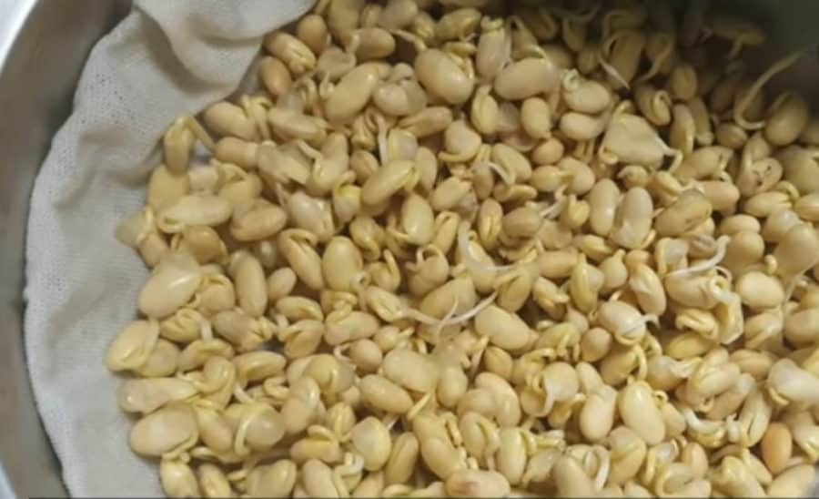 Những lưu ý khi sử dụng mầm đậu nành