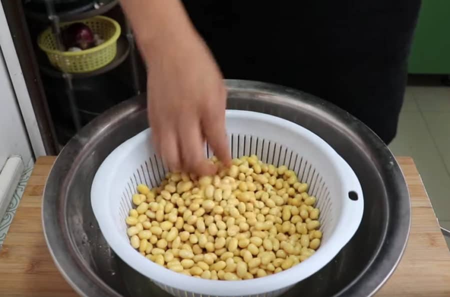 Cách Làm Mầm Đậu Nành - Wild Rice