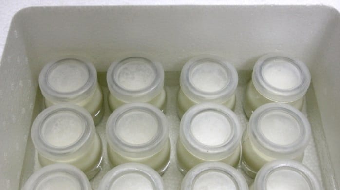 cách làm sữa chua từ sữa đặc