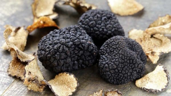 Nấm Truffle Là Gì?