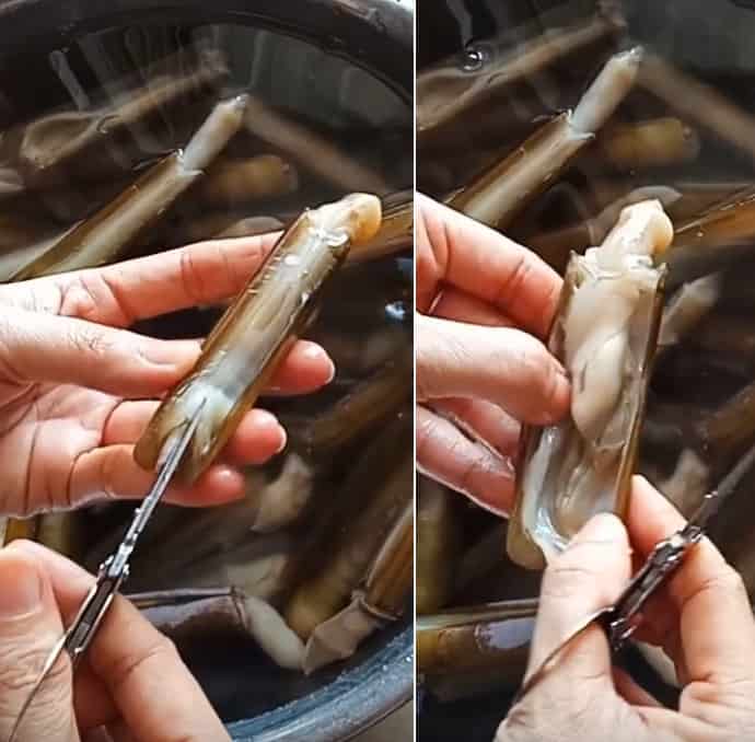 cách làm ốc móng tay