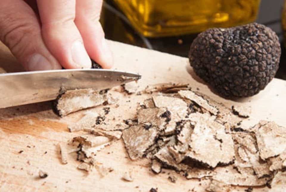 nấm truffle