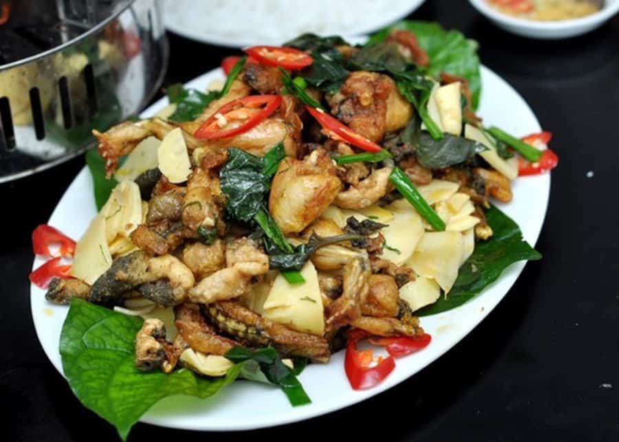 Ech Xao Mang (1)