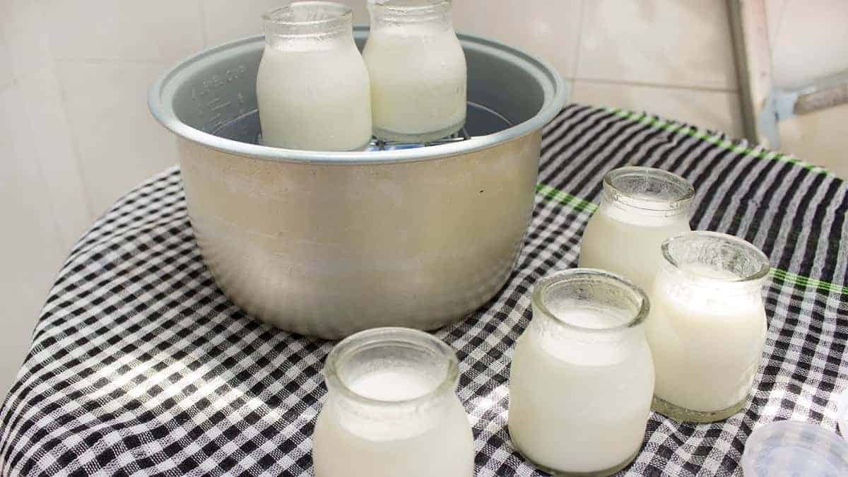 Cách Làm Sữa Chua Bằng Nồi Cơm Điện Siêu Chuẩn Siêu Ngon