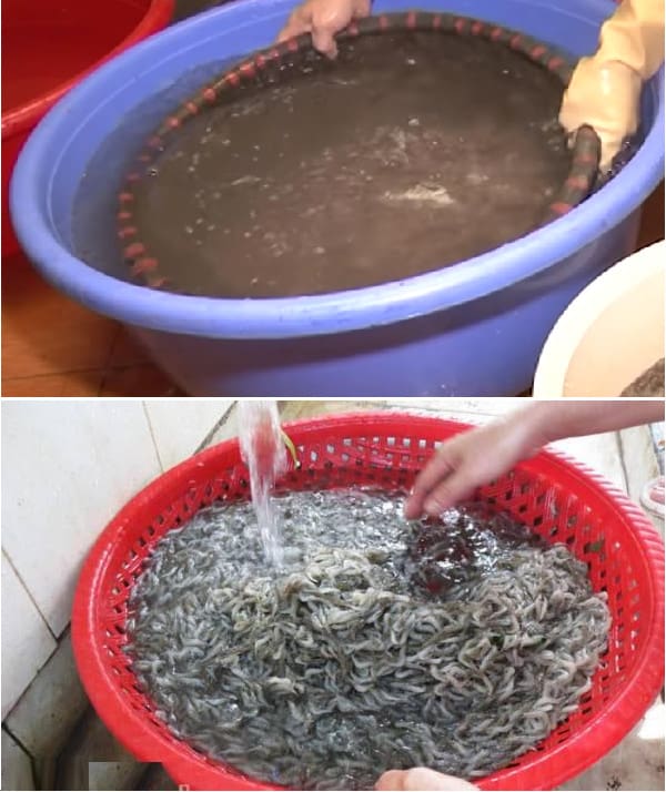 công thức Mắm Tép Hà Yên