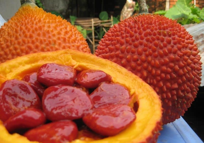 cách nấu xôi gấc