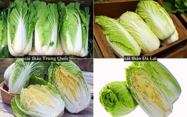 Cai Thao 1542786887 895 Width800height500 Tile