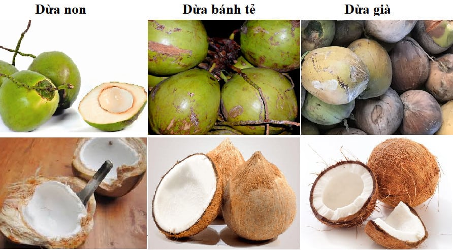 Cách Làm Mứt Dừa Chuẩn Nhất thatlangon.com