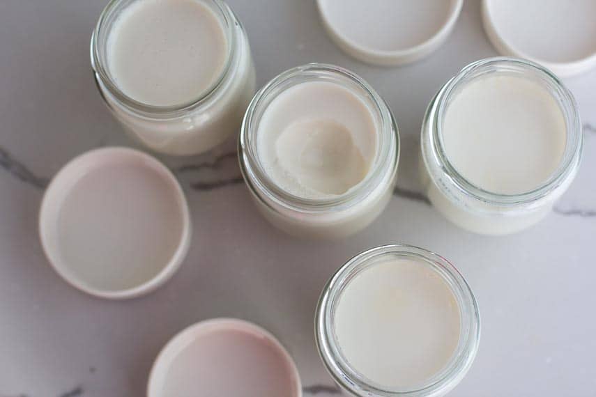 overhead image of homemade lactose-free yogurt in small glass jars