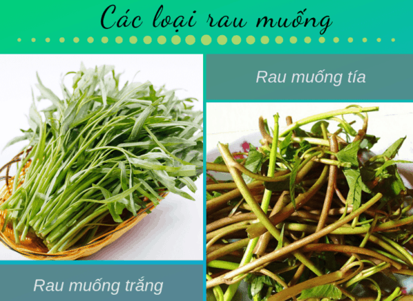 nom rau muong 3