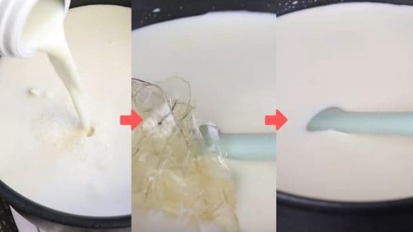 panna cotta 5