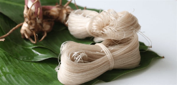 mien ga