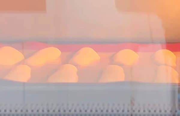 bánh lưỡi mèo tln 8